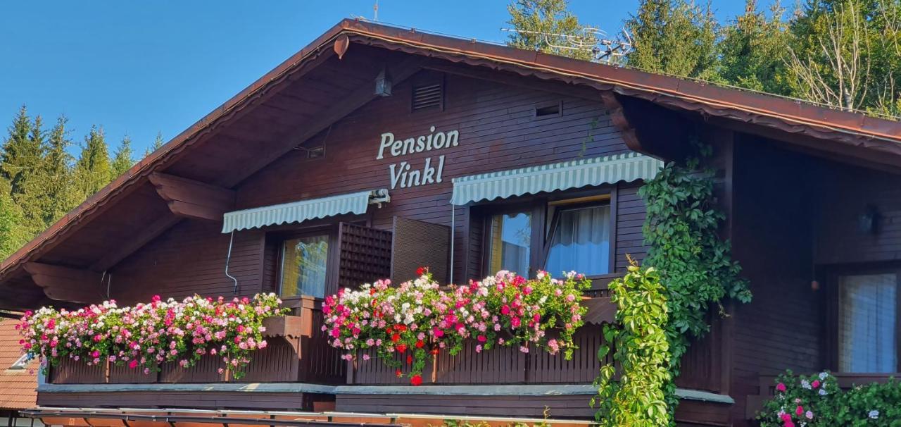Pension Vinkl Harrachov Extérieur photo