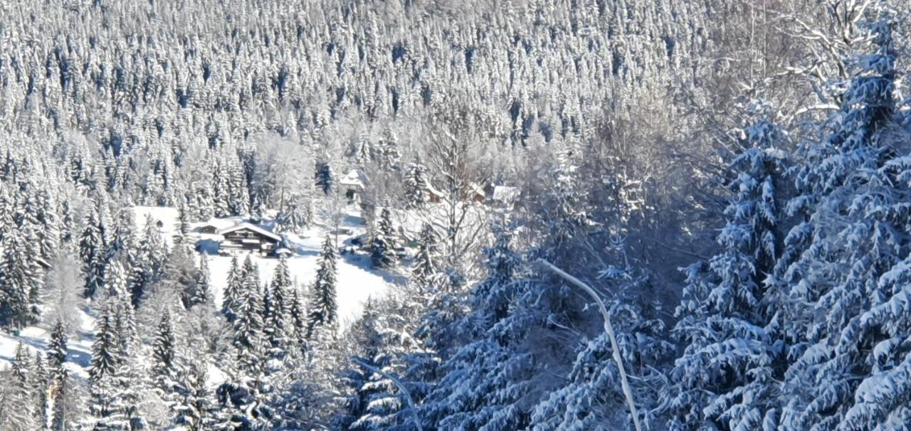 Pension Vinkl Harrachov Extérieur photo