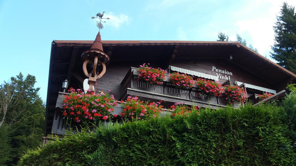 Pension Vinkl Harrachov Extérieur photo