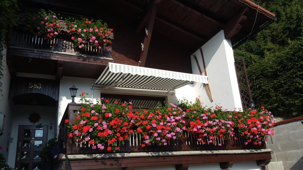 Pension Vinkl Harrachov Extérieur photo